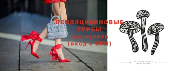 амф Володарск