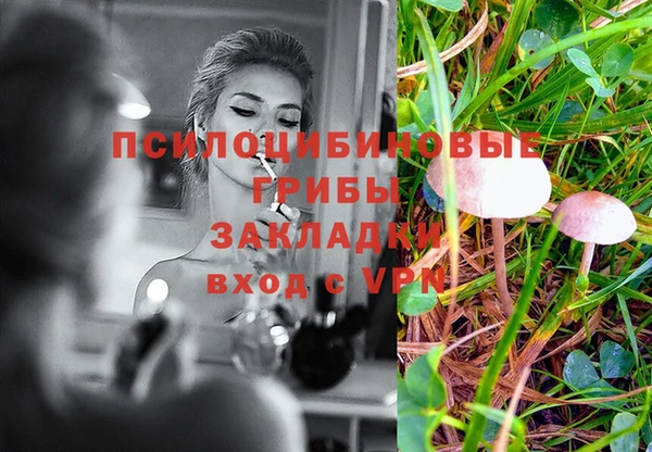 амф Володарск