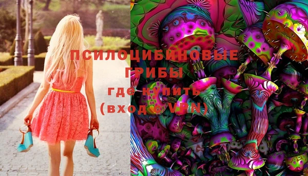 амф Володарск