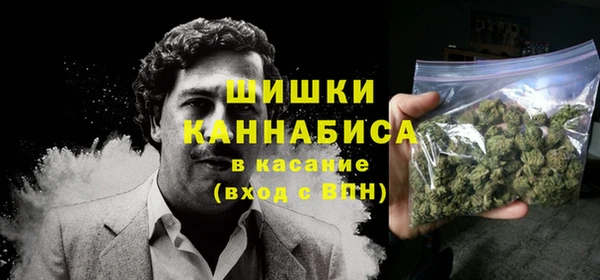 амф Володарск
