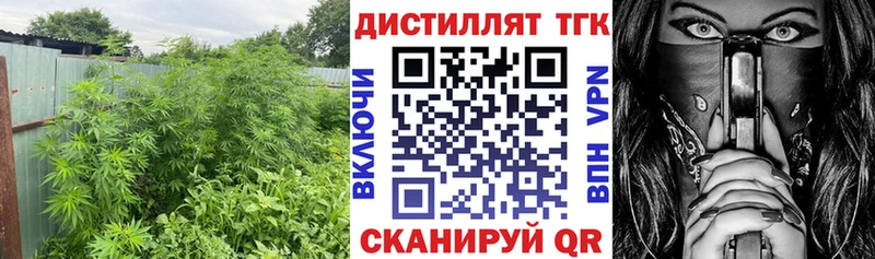 Дистиллят ТГК гашишное масло  Купить закладки  Новокубанск 