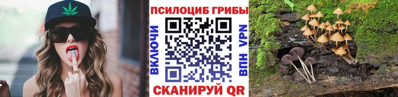 Купить  Новокубанск  Галлюциногенные грибы Magic Shrooms 
